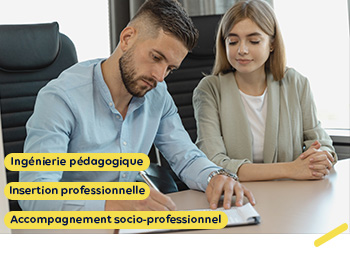 Insertion professionnelle, ingénierie pédagogique et accompagnement socio-professionnel