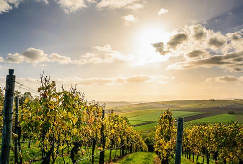 Observatoires régionaux GEN_SCAN : la Région Bourgogne Franche-Comté